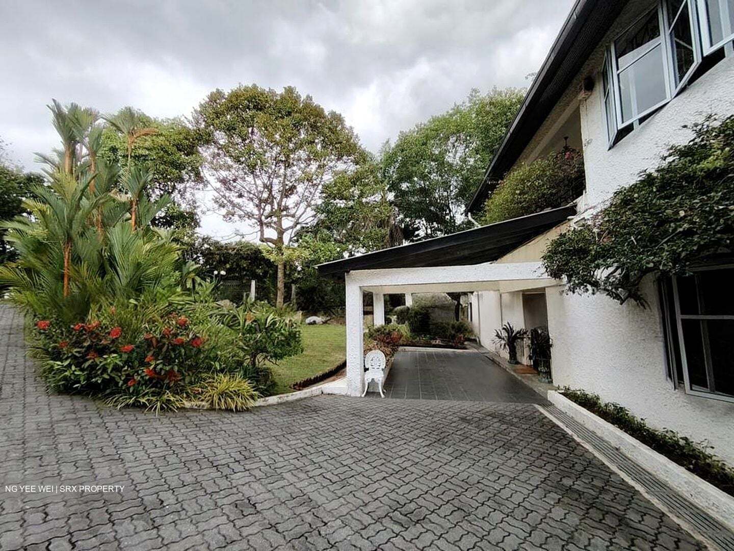 Bin Tong Park (D10), Detached #545980411